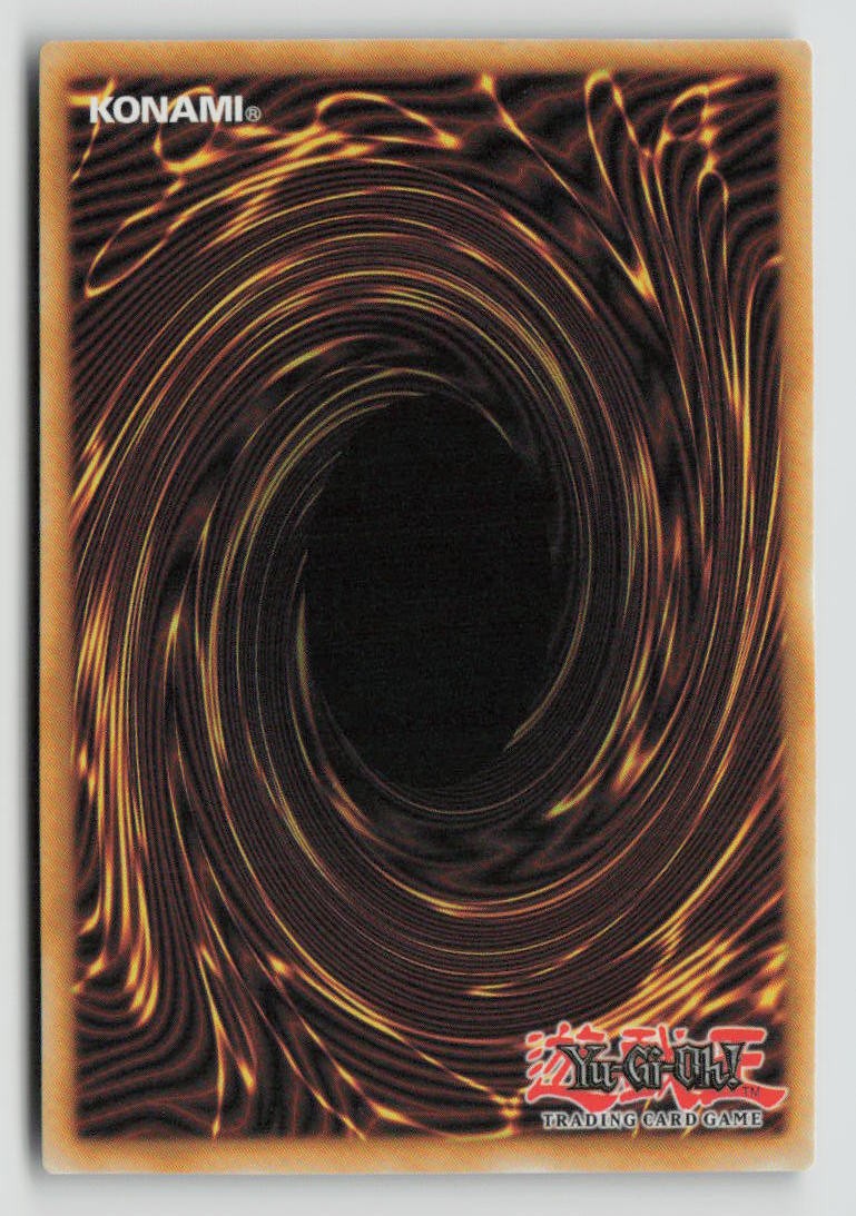 Dominus Impulse (PUR) (Back)