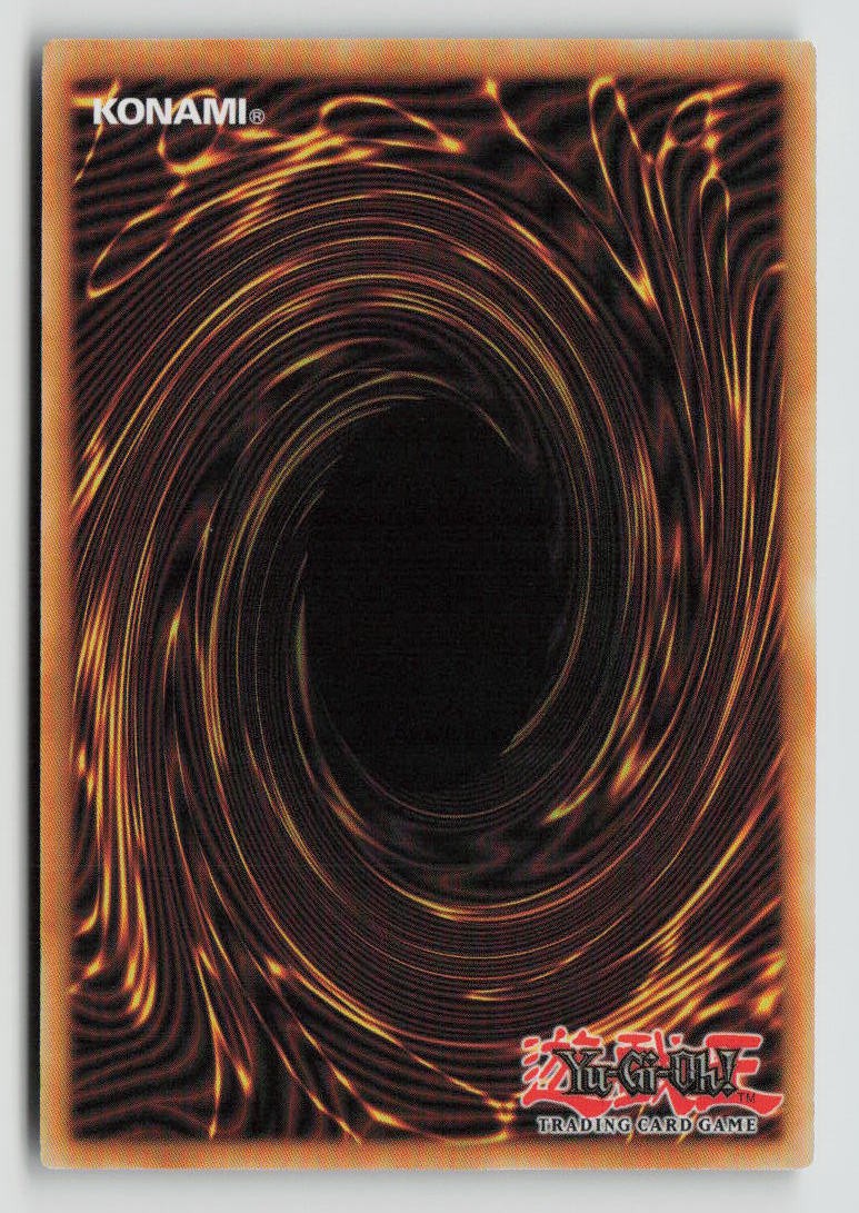 Maliss P White Rabbit (Back)