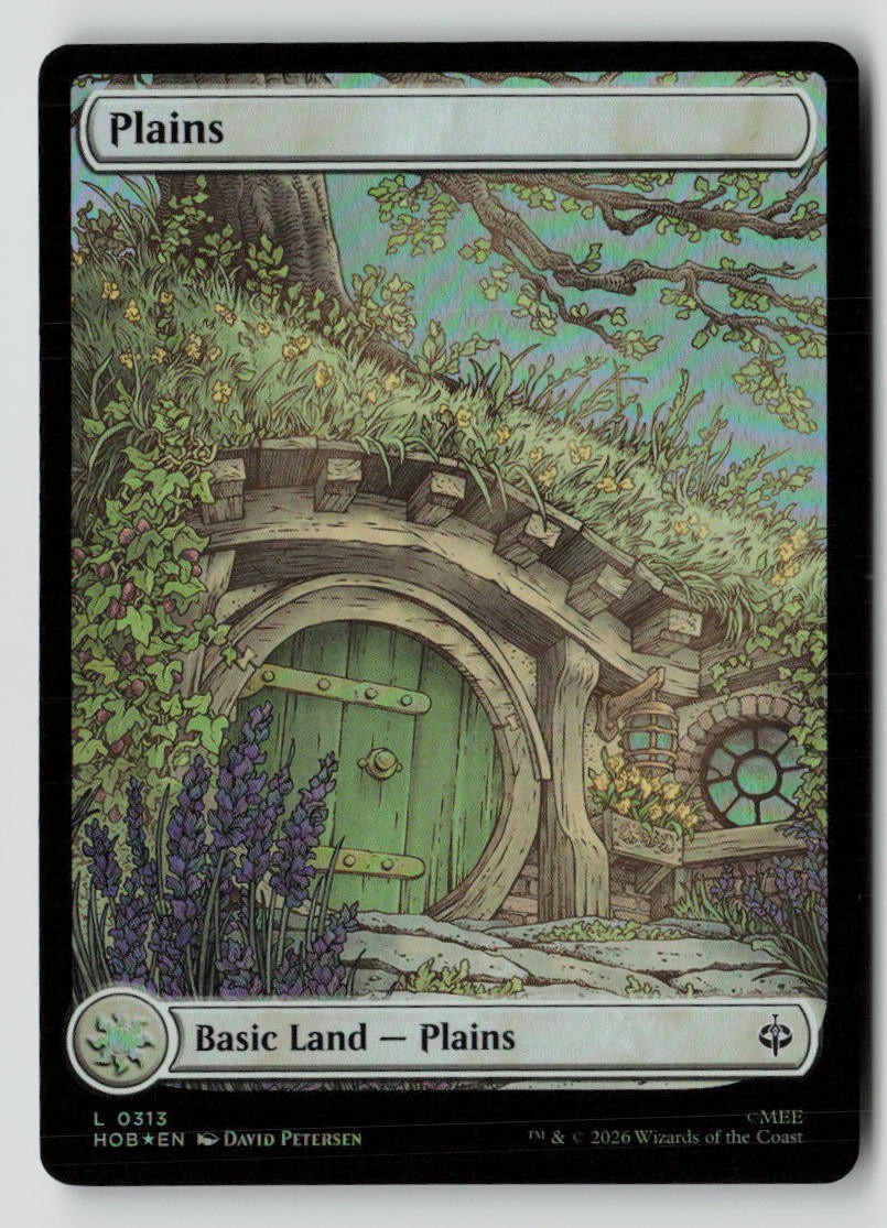 Plains (0313)