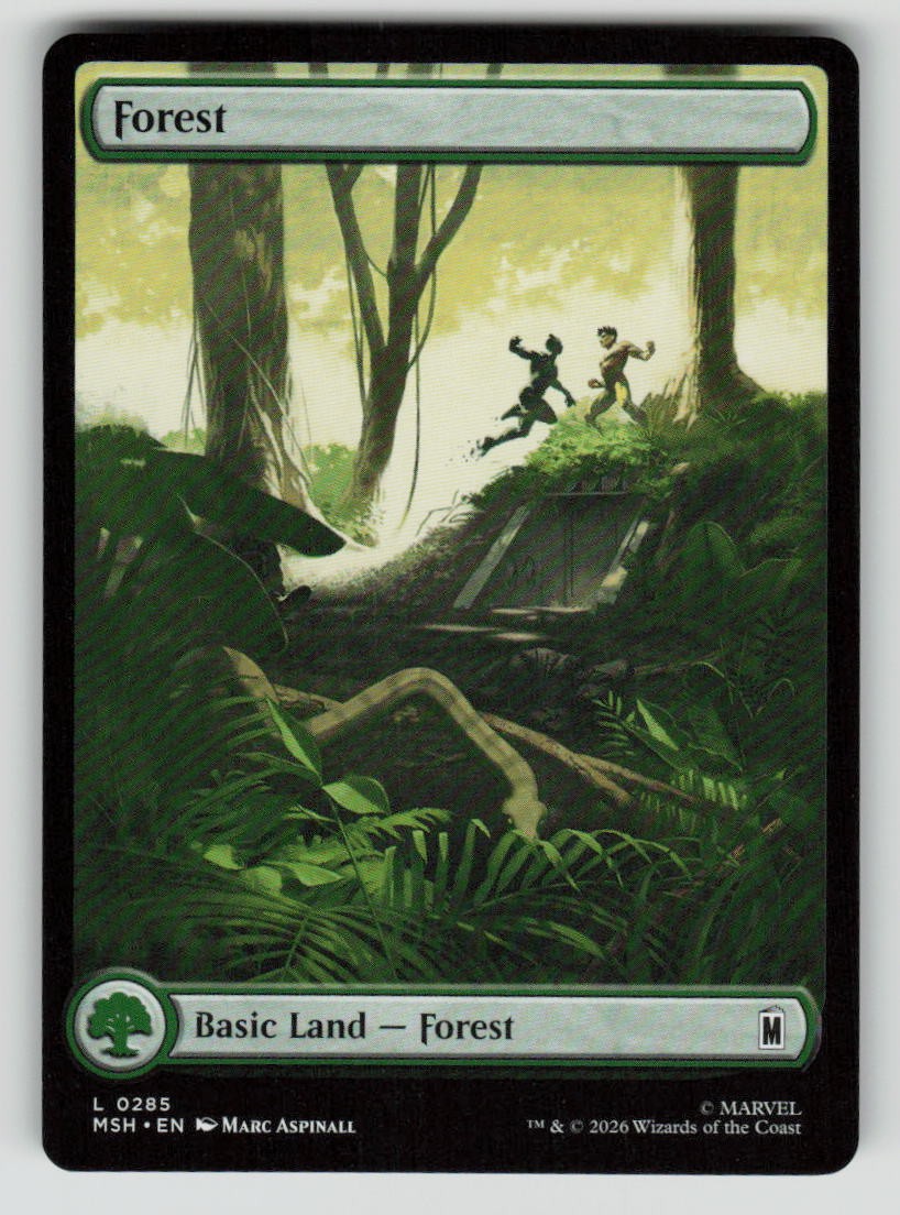 Forest (0285)