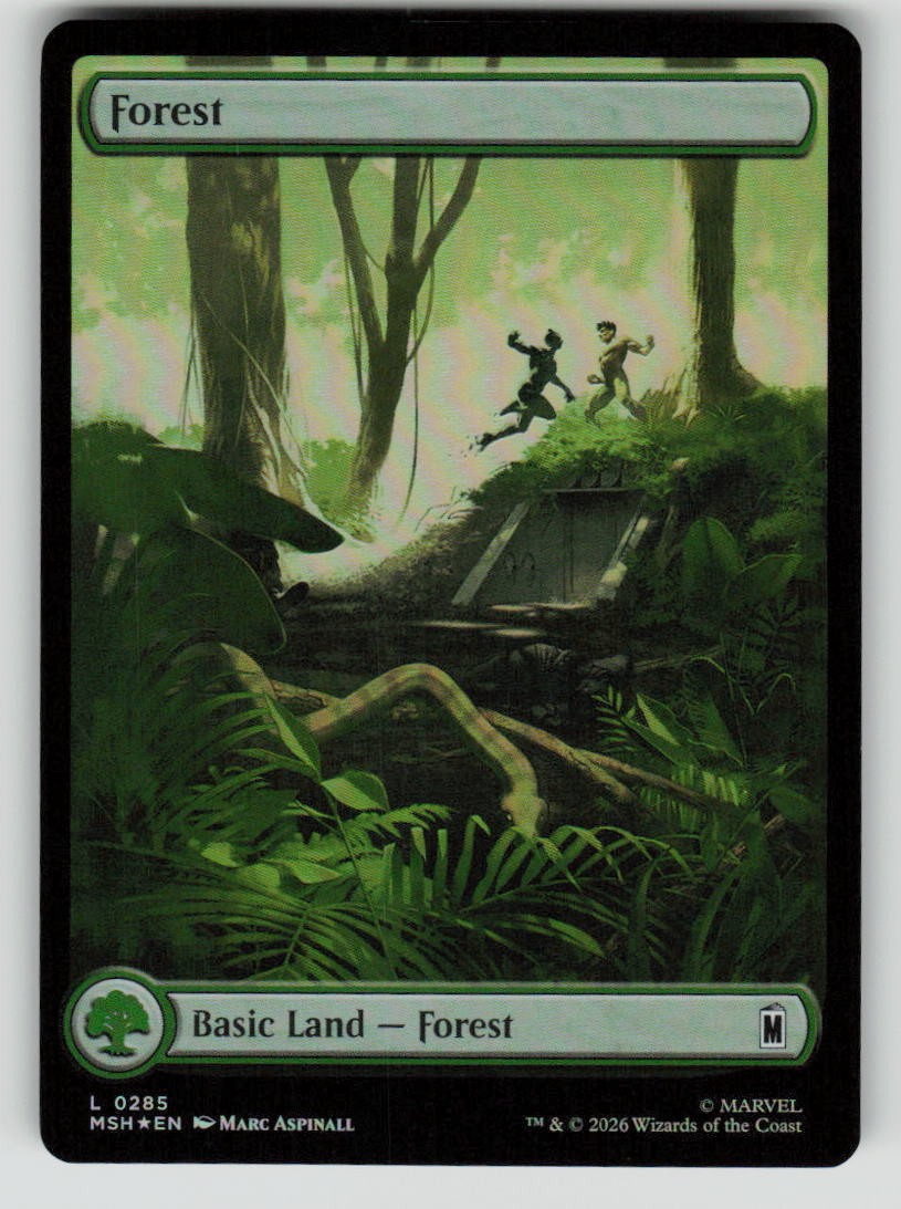 Forest (0285)