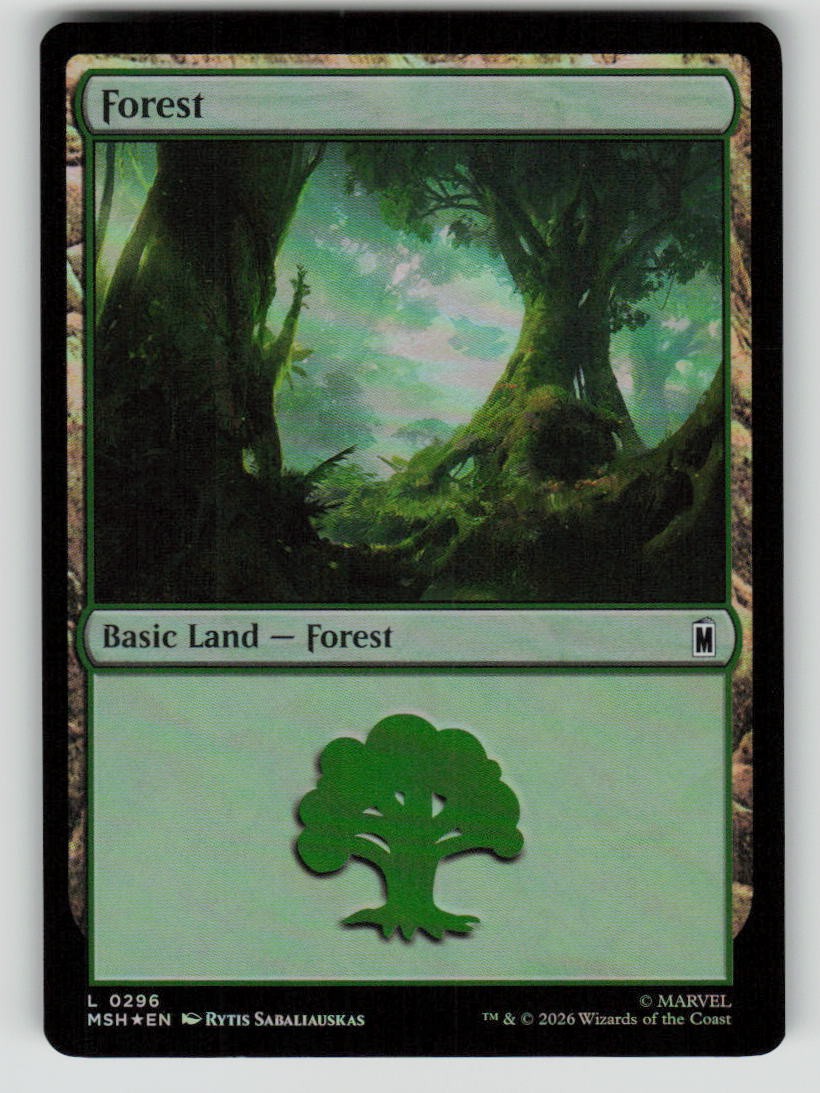 Forest (0296)