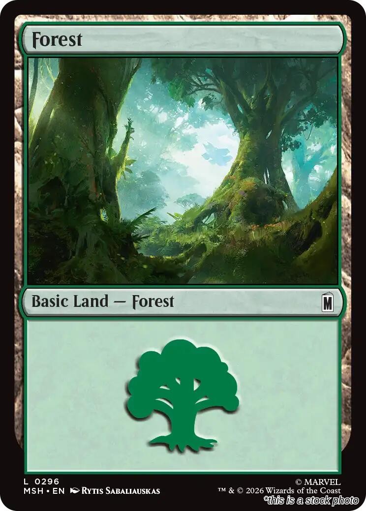 Forest (0296)