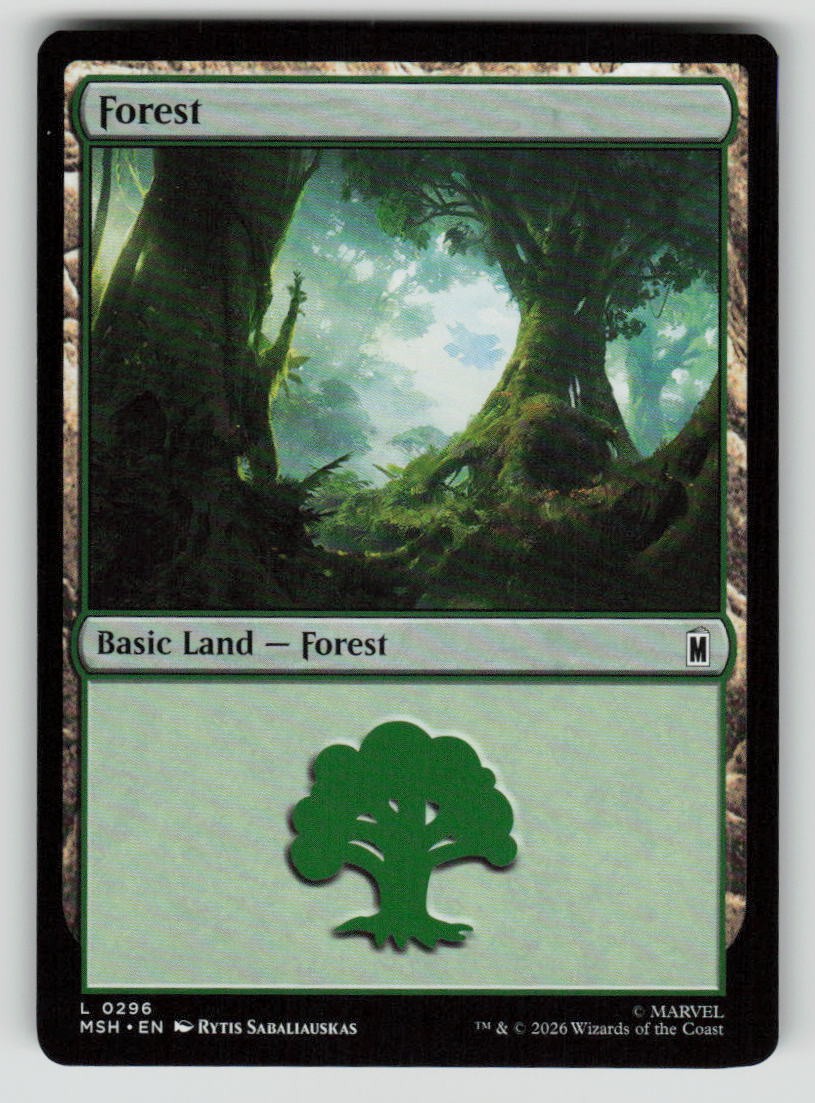 Forest (0296)