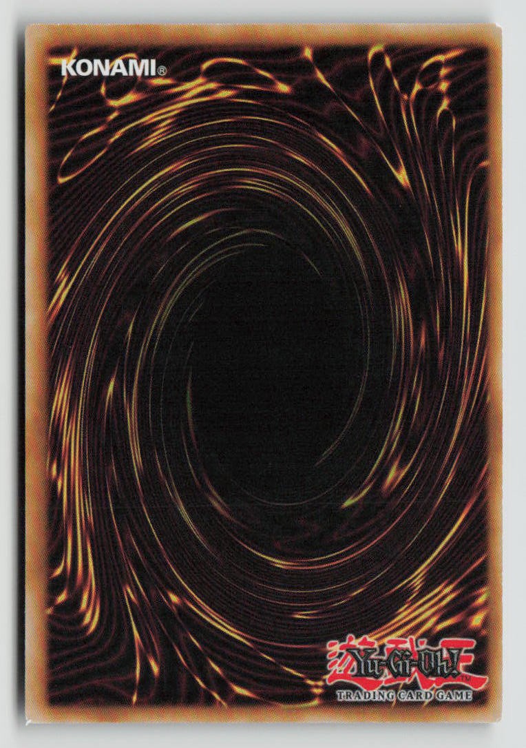 Angelechy Disturbance (Back)