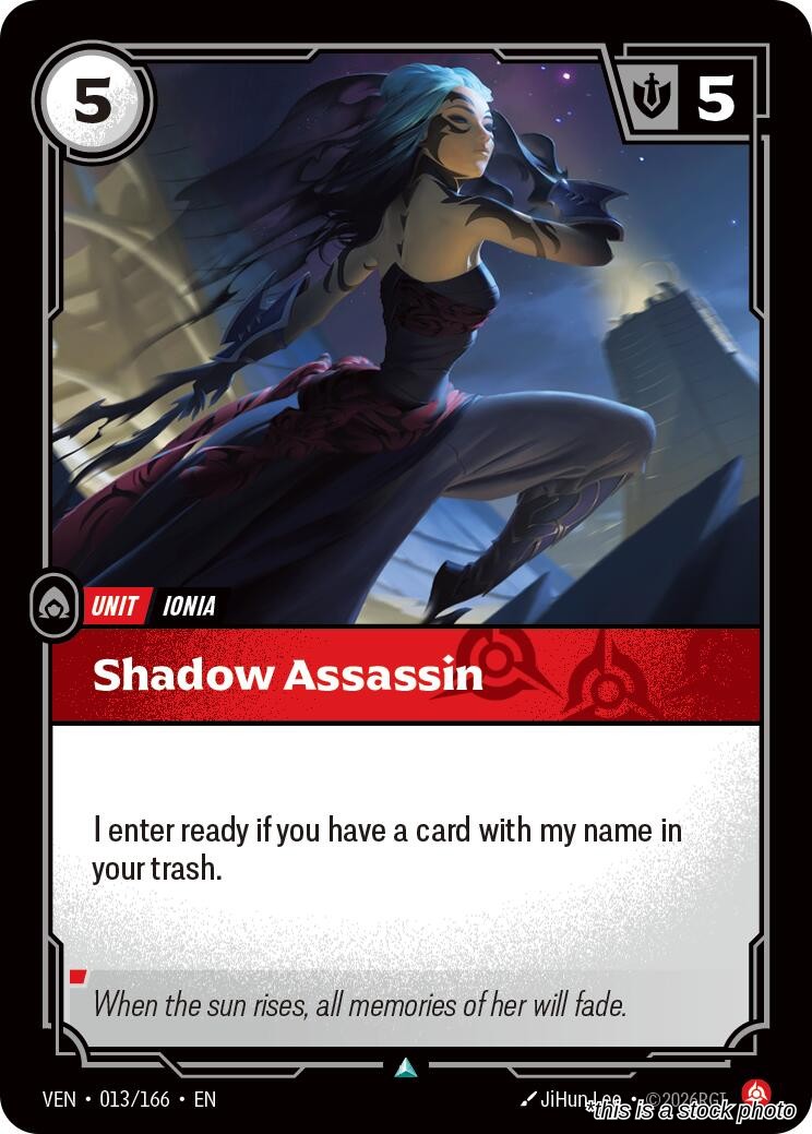 Shadow Assassin