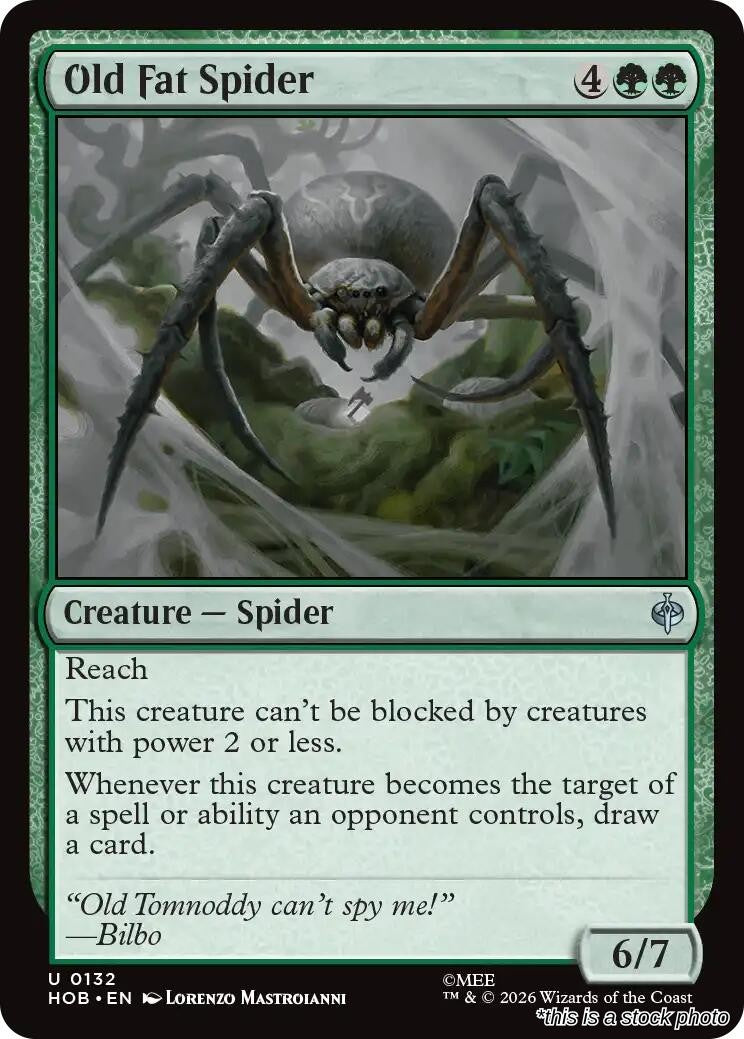 Old Fat Spider