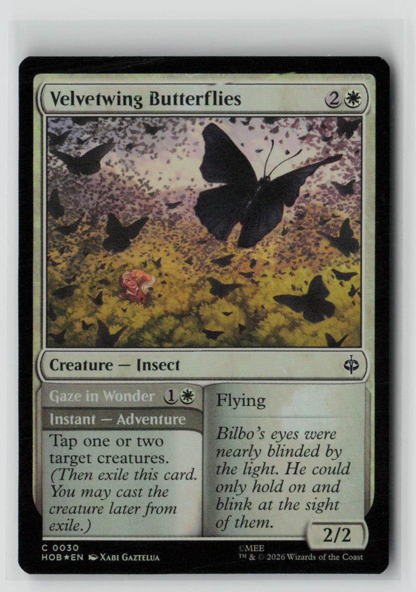 Velvetwing Butterflies