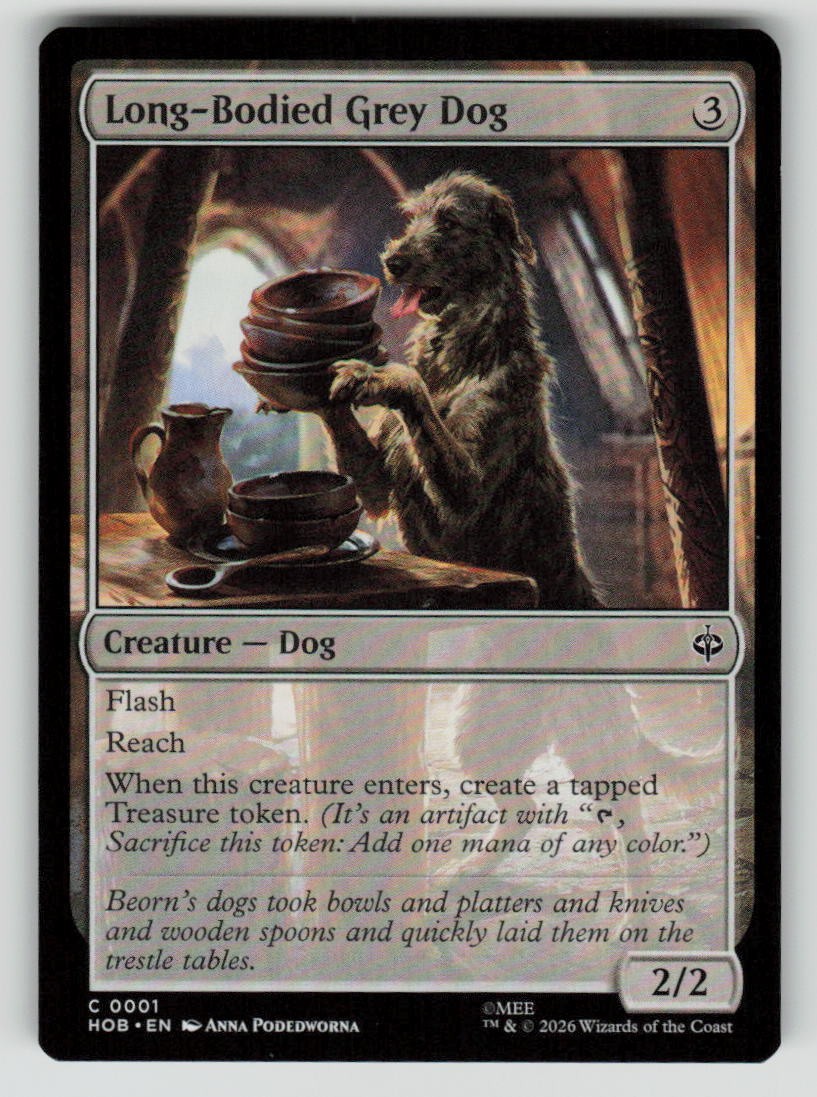 Long-Bodied Grey Dog