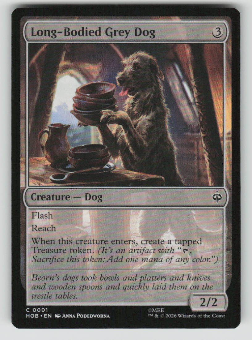 Long-Bodied Grey Dog