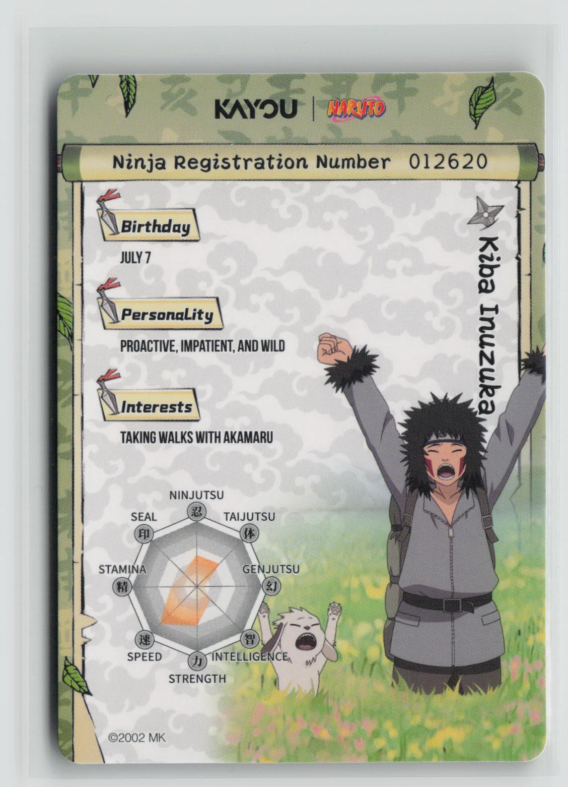 Kiba Inuzuka (Back)